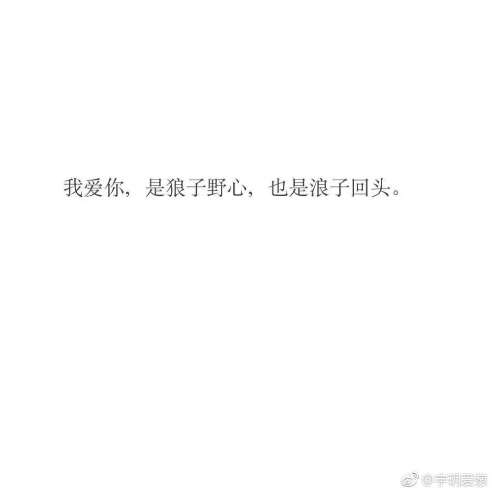 從《二哈和他的白貓師尊》到愛蔻 情感的鏡像與文化的共情